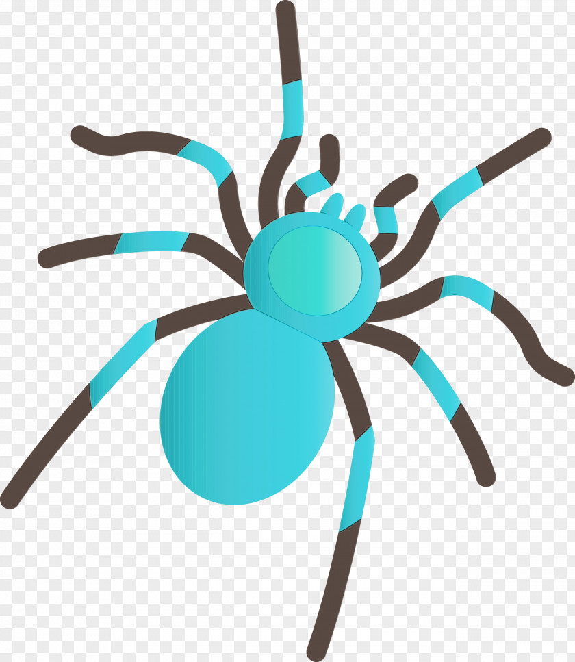 Insect Turquoise PNG