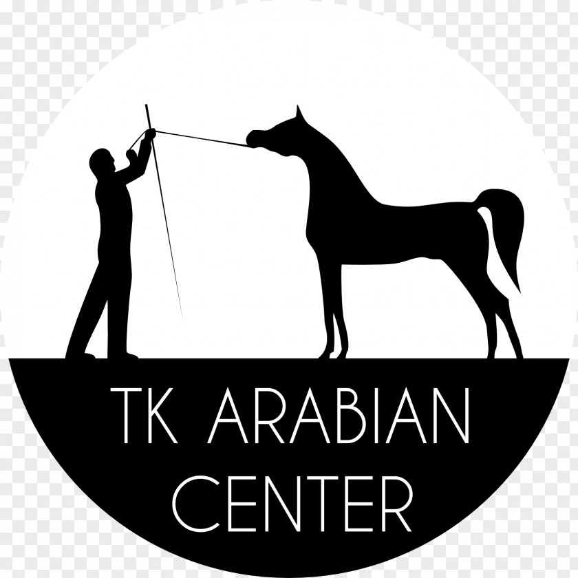 Mustang W. K. Kellogg Arabian Horse Center Stallion Colt PNG