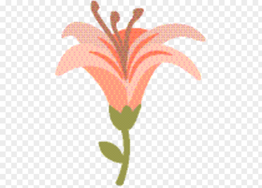 Pedicel Plant Floral Flower Background PNG