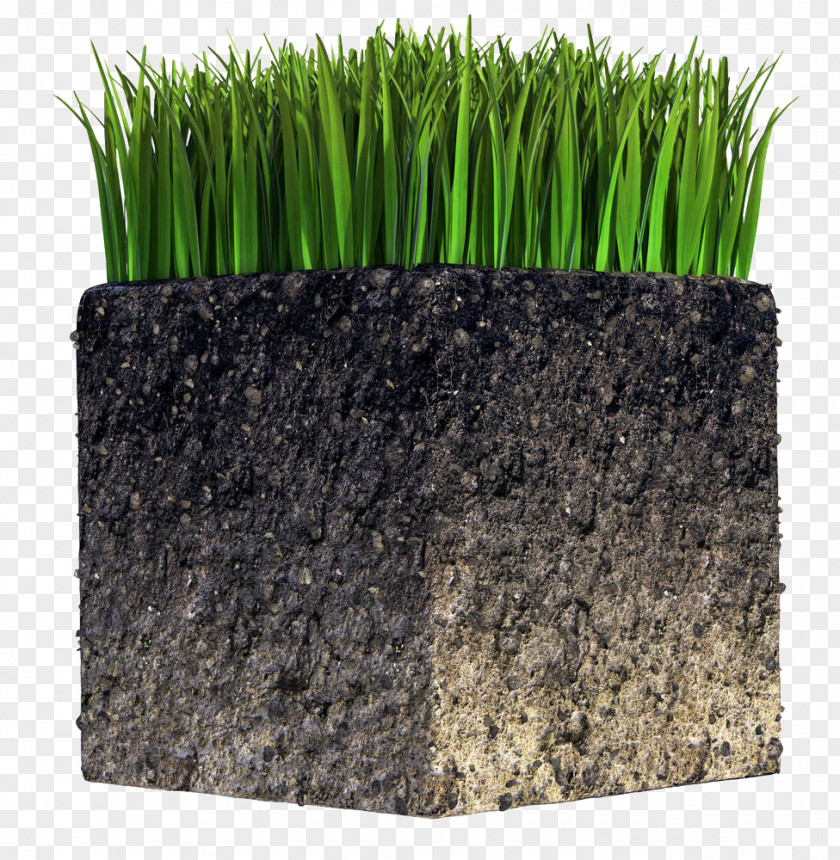 Plant Soil Cube Stock Photography Royalty-free Natural Environment PNG