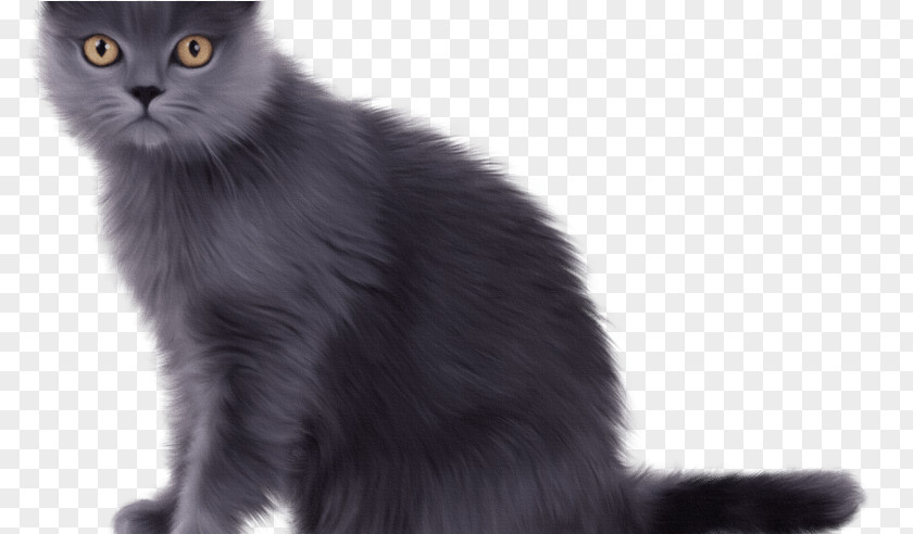 Ragamuffin Napoleon Cat Kitten Cartoon PNG