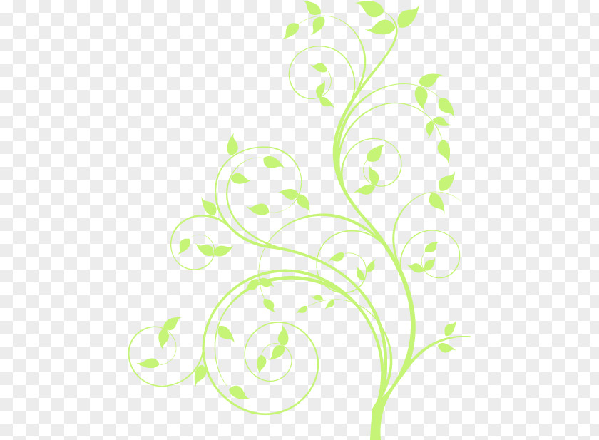 Vine Illustration Design Vector Graphics Green PNG