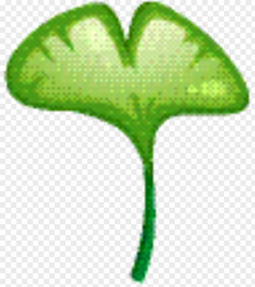 Wood Sorrel Family Plant Tree Background PNG