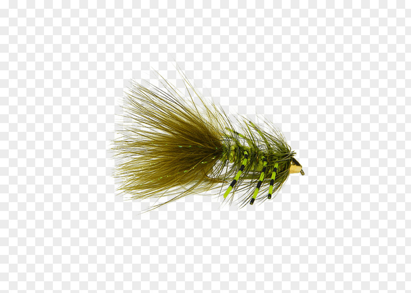 Woolly Bugger Artificial Fly Fishing Bead PNG