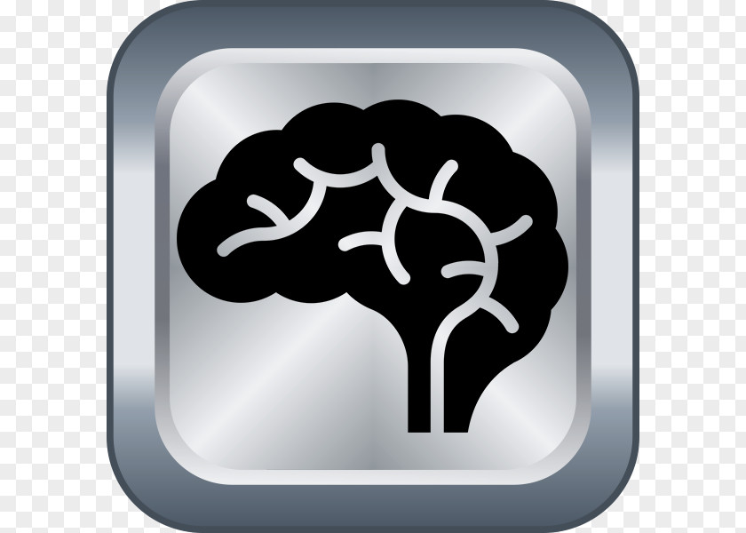 Brain Learning Science Neurological Disorder PNG