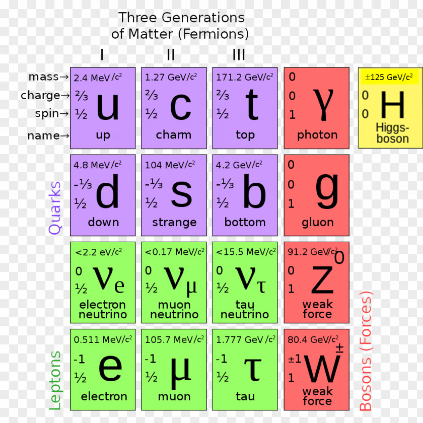 Field Particle Physics Standard Model Elementary Higgs Boson PNG