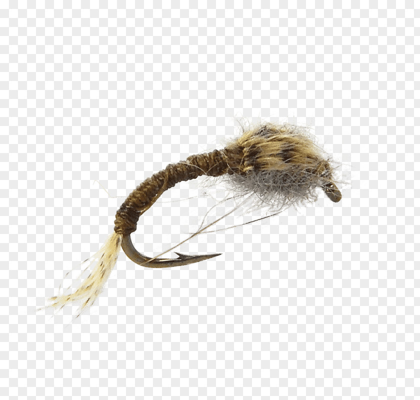 Flying Nymph Fly Fishing WD-40 Bass PNG