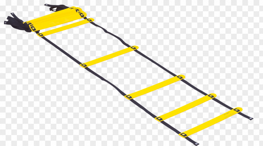 Gym Agility Drill Physical Exercise Equipment Ladder PNG