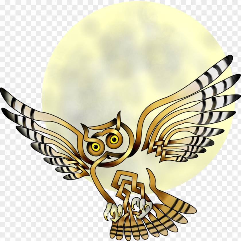 Knot Owl Celtic Symbol Bird Art PNG