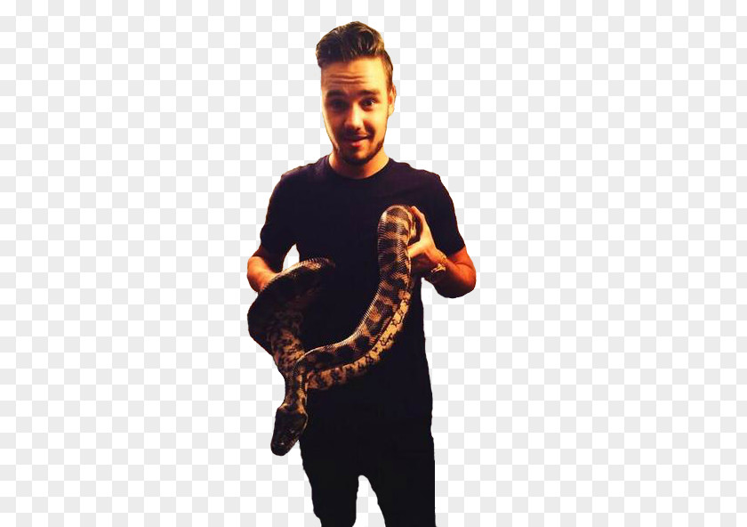 Liam Payne One Direction Cry Me A River Boy Band Him/Herself PNG