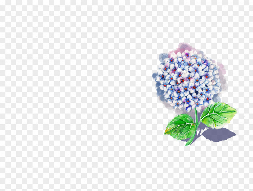 Peony Watercolor Lilac Hydrangea Flower Violet Pink PNG