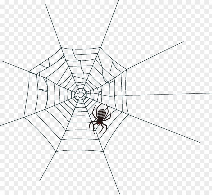 Blackandwhite Diagram Spider Web Halloween PNG