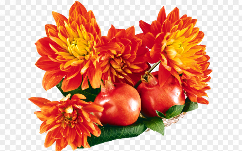 Chrysanthemum Floral Design Cut Flowers Dahlia PNG