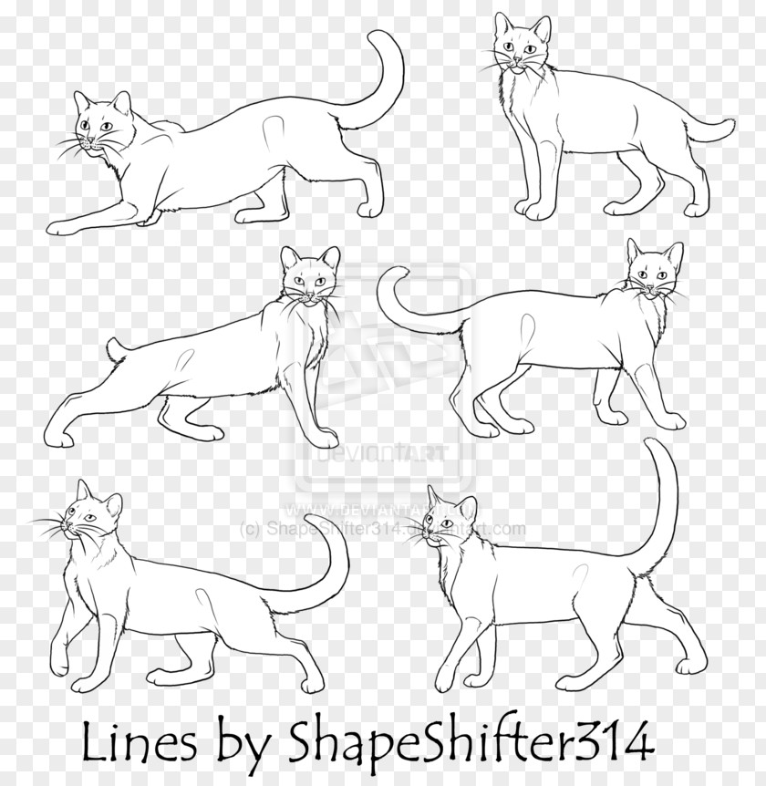 Horse Cat Dog Mammal Line Art PNG