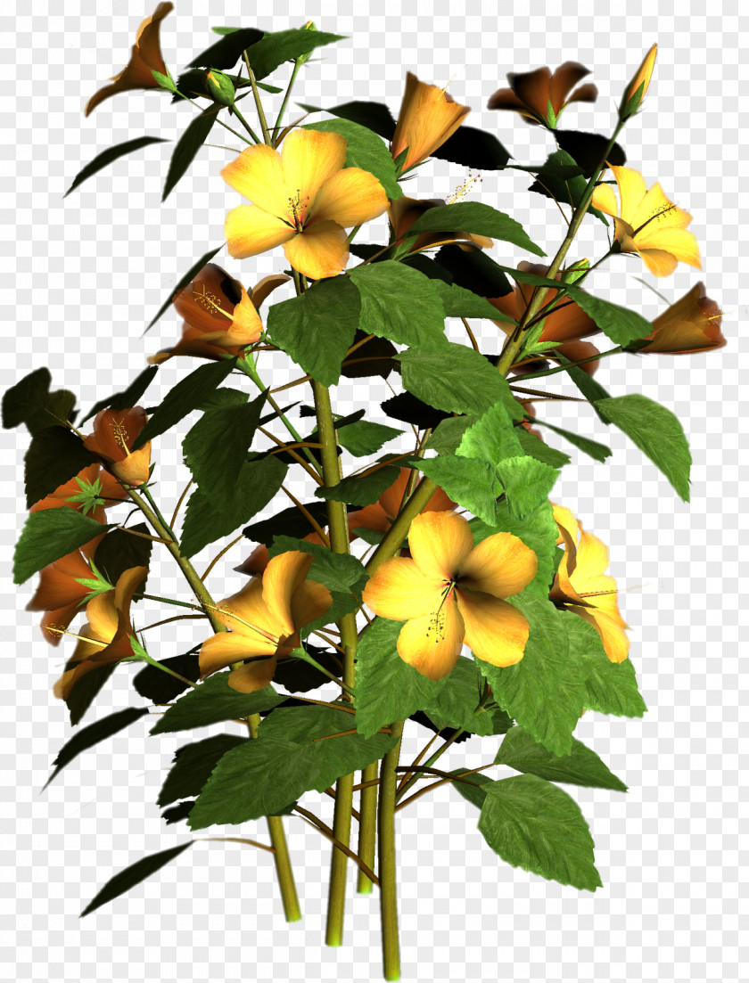 Plant Flowering Clip Art PNG