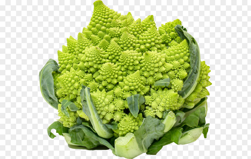 Romanesco Broccoli Cauliflower Broccoflower Spring Greens PNG