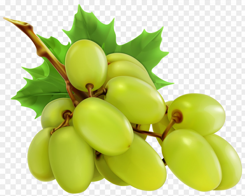 White Grapes Cliparts Wine Grape Raisin Food Fruit PNG