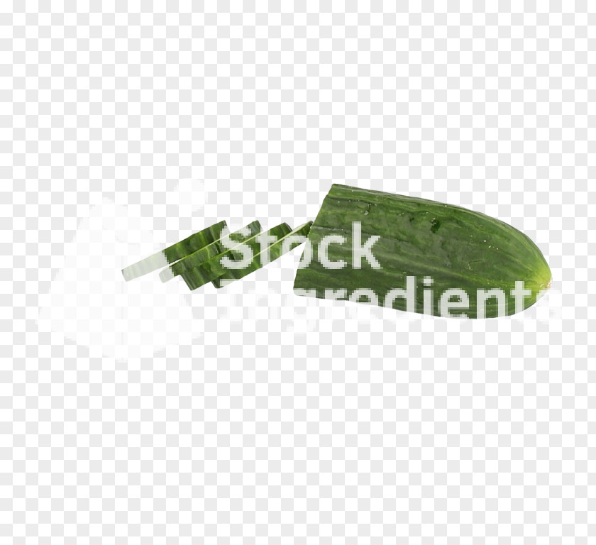 Cucumber Slices And Image Plastic Green PNG