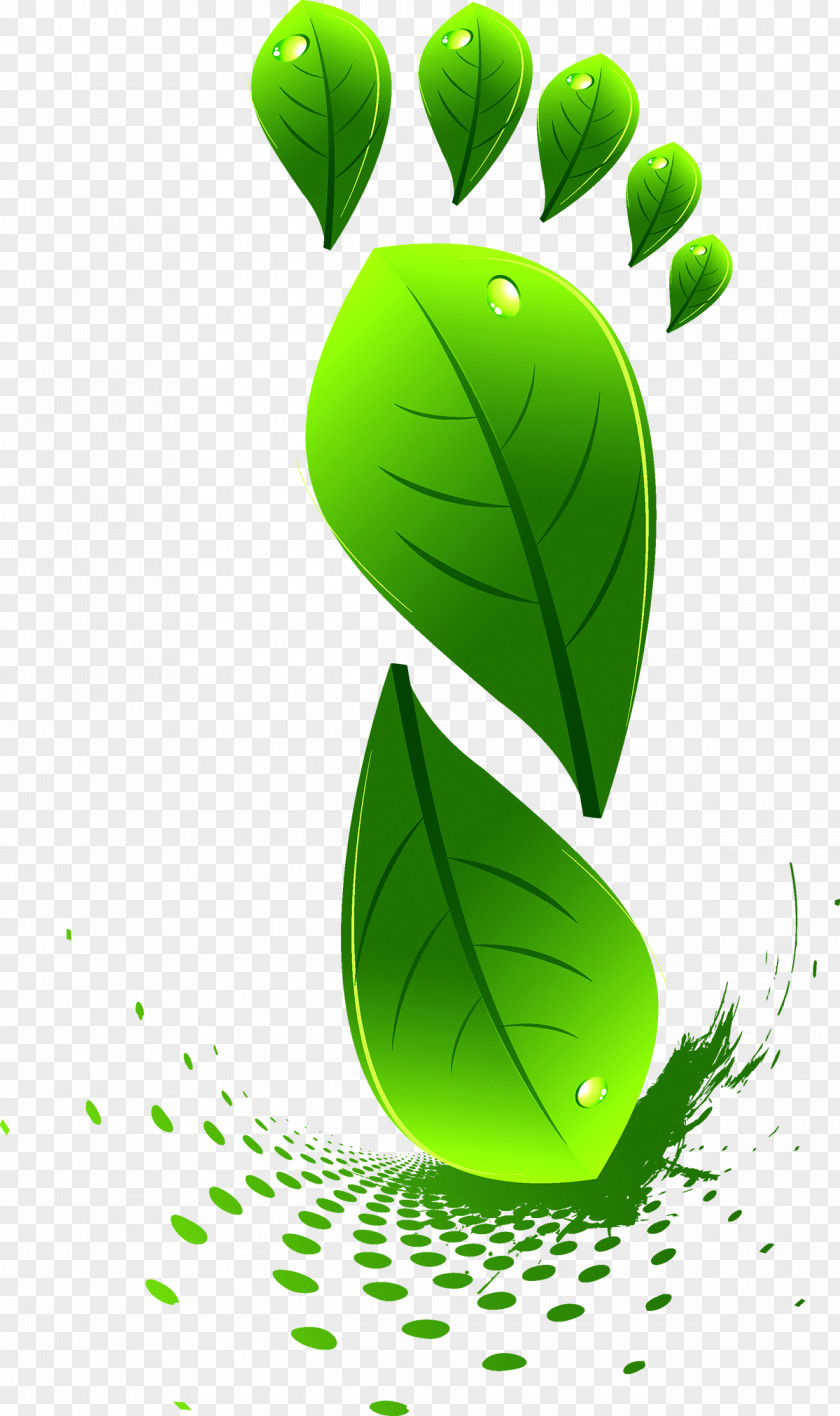 Green Leaves Footprints Leaf Euclidean Vector PNG