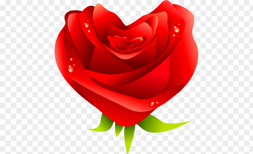 Rose Left Heart Love Cupid PNG