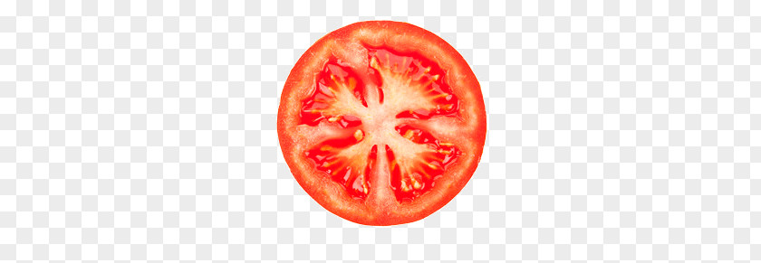Tomato Slice PNG slice clipart PNG