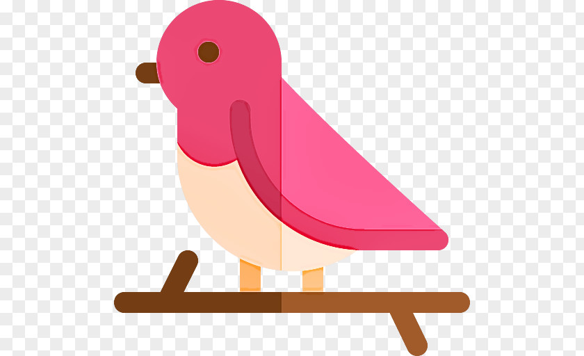 Bird Pink Beak Water PNG