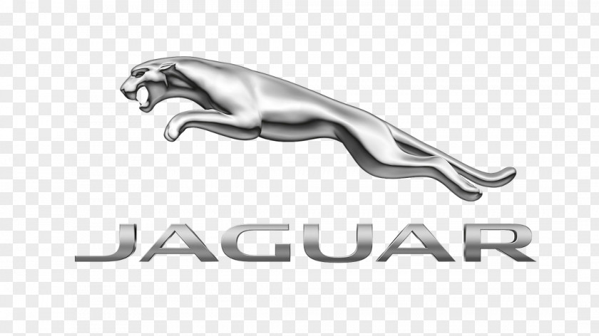Car Jaguar Cars Logo Design Autoserenissima PNG