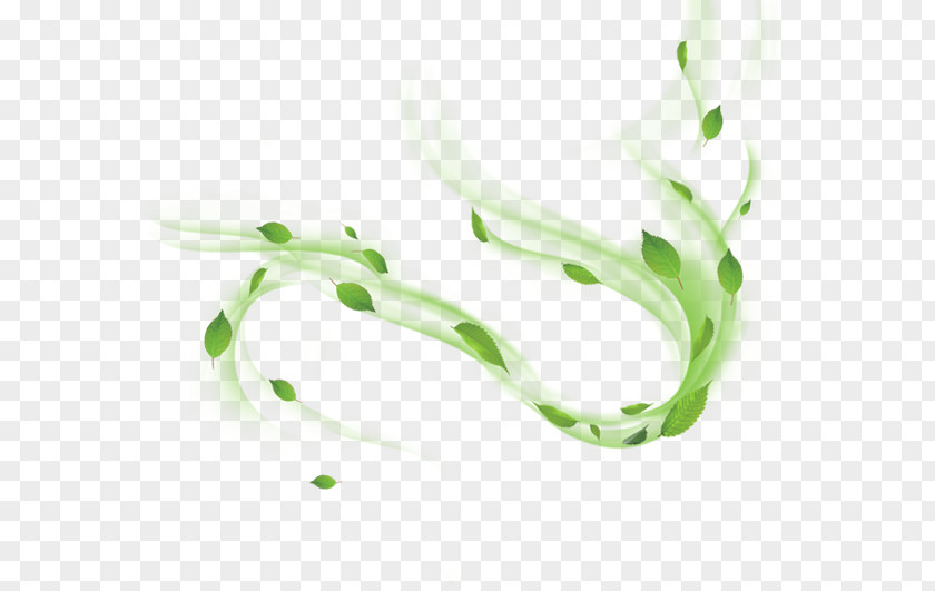 Floating Leaves Software PNG