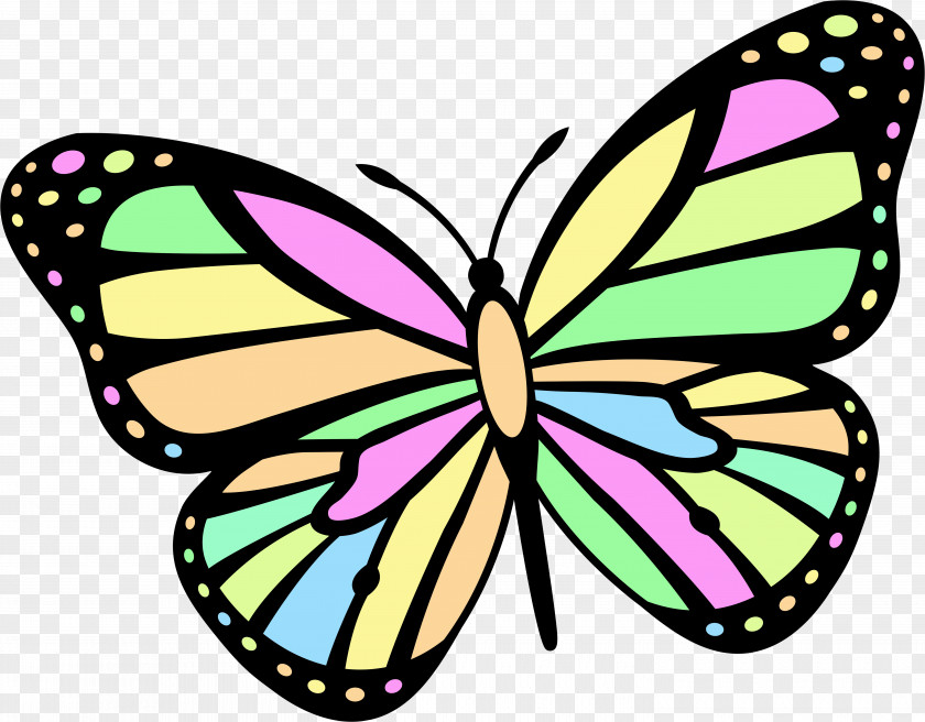 9.10 Butterfly Tattoo Color Clip Art PNG