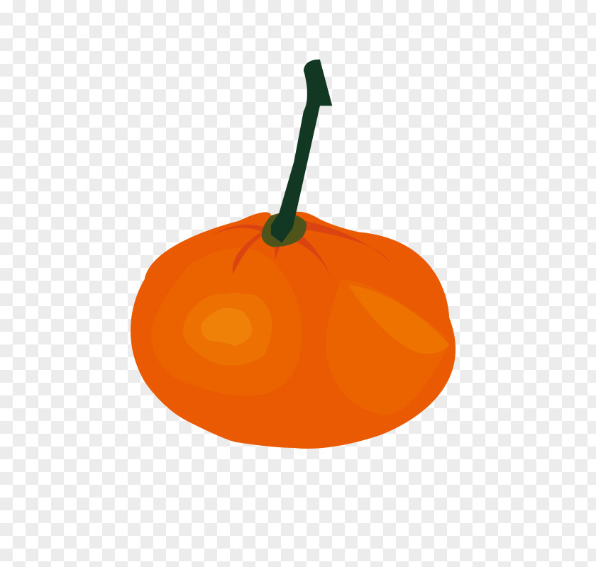 Cartoon Persimmon Red Vector Orange Pumpkin Pattern PNG
