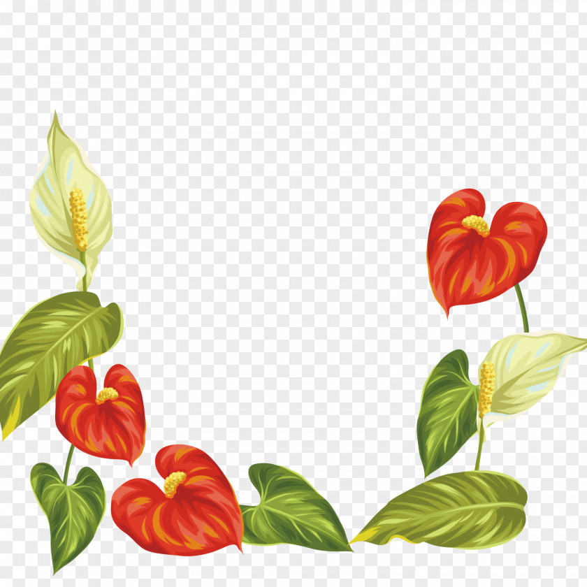 Epiphyte Vector Graphics Royalty-free Illustration Laceleaf Image PNG