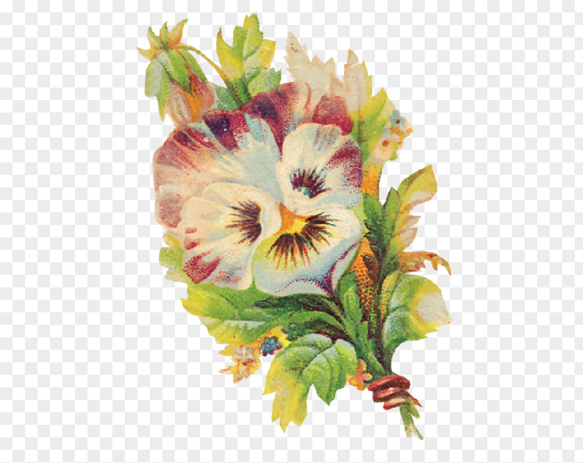 Pansy Clip Art Flower Watercolor Painting PNG