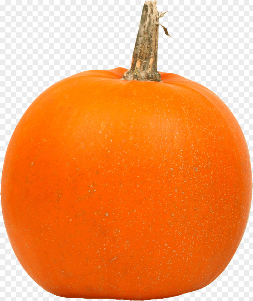 Pumpkin Calabaza Big Red Kuri Squash Jack-o'-lantern PNG