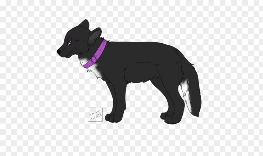 Puppy Dog Breed Schipperke Snout PNG