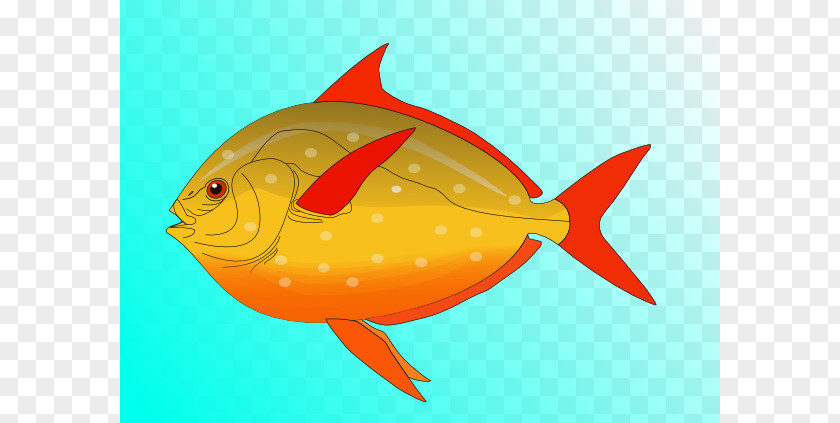Colorful Fish In Water Clownfish Anglerfish Clip Art PNG