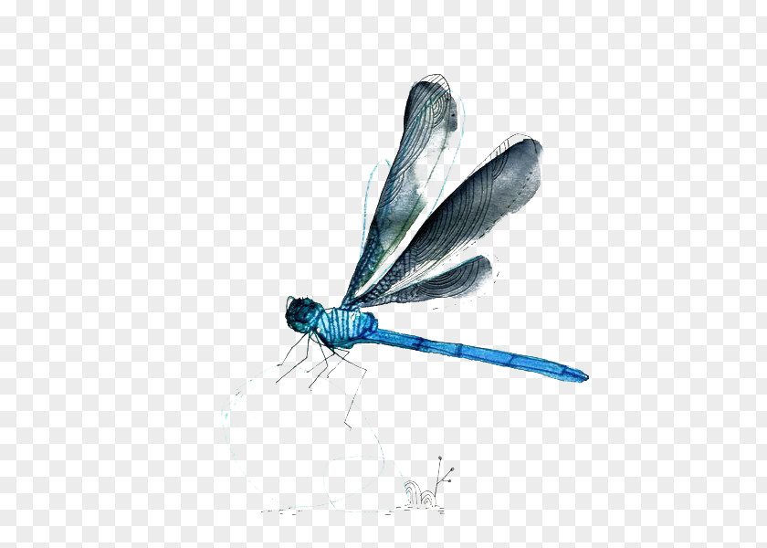 Dragonfly Watercolor Painting PNG