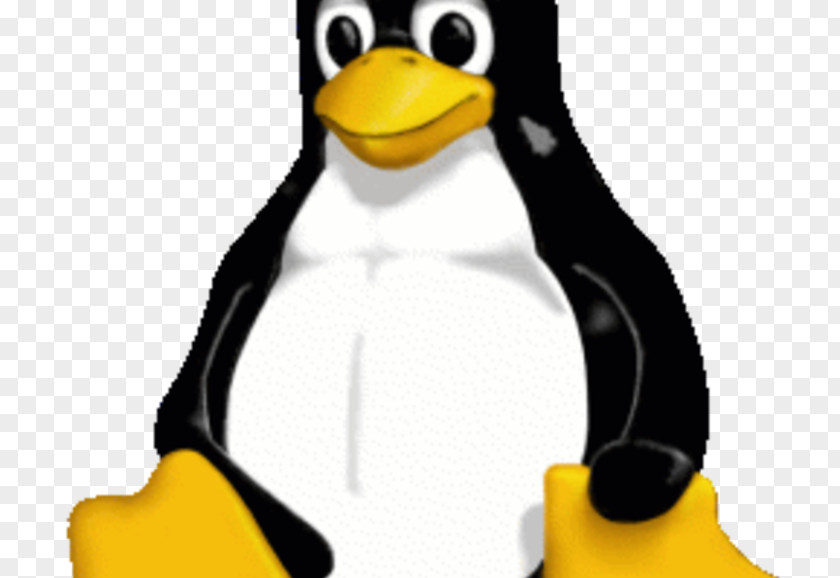 Linux Tux Distribution Arch Professional Institute Certification Programs PNG