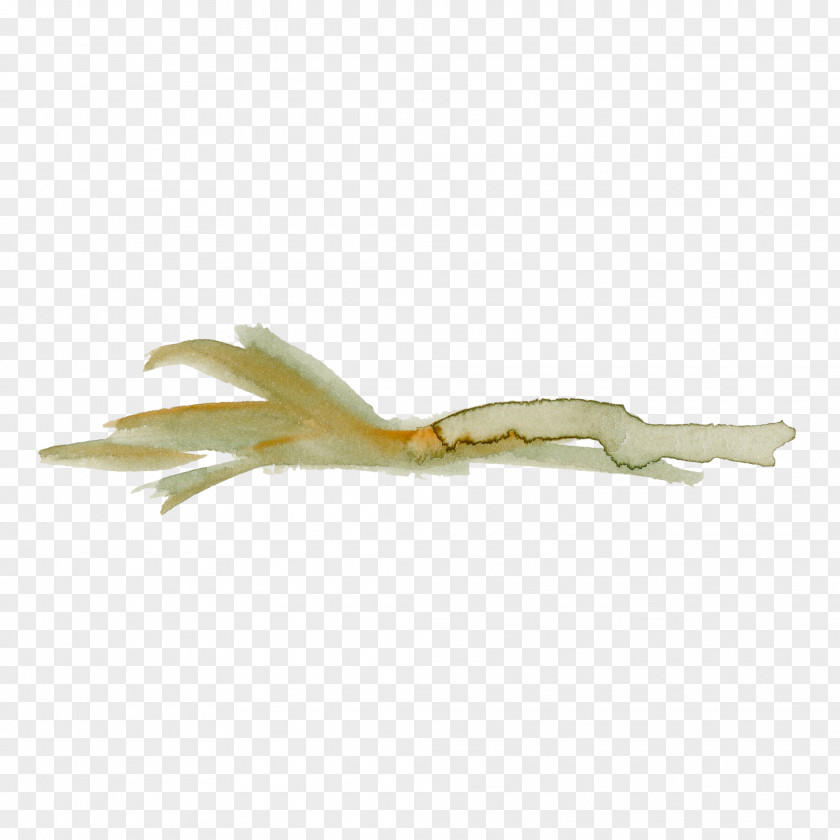 Yellow Beige PNG