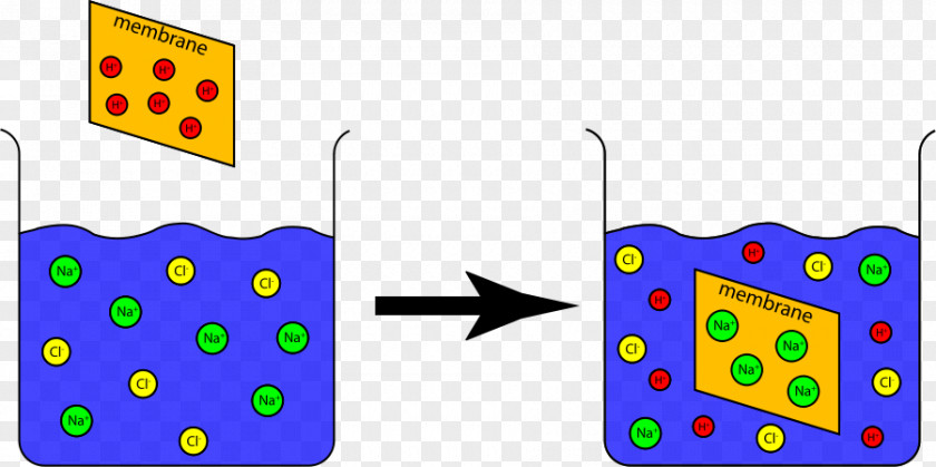 Experiment Cliparts Ion Clip Art PNG