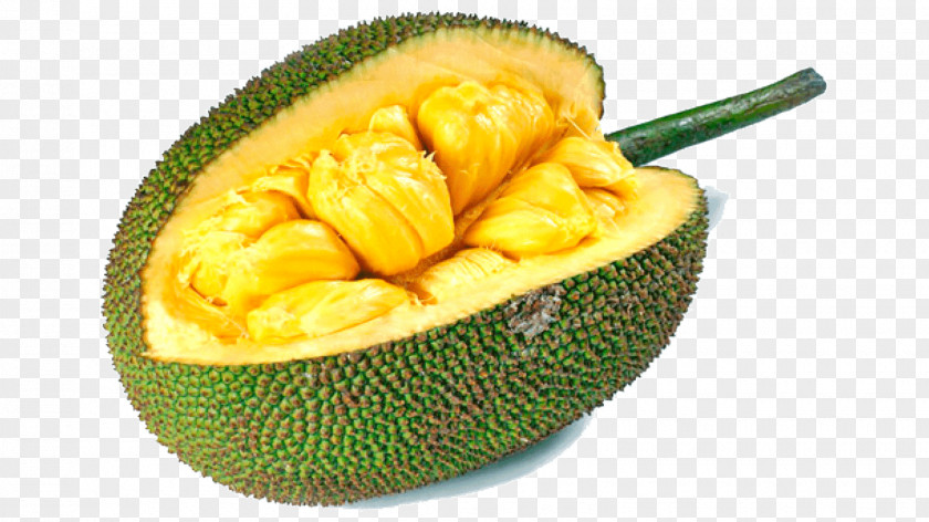 Jackfruit Cempedak Food Nutrient PNG