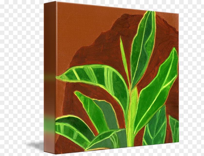 Leaf PNG