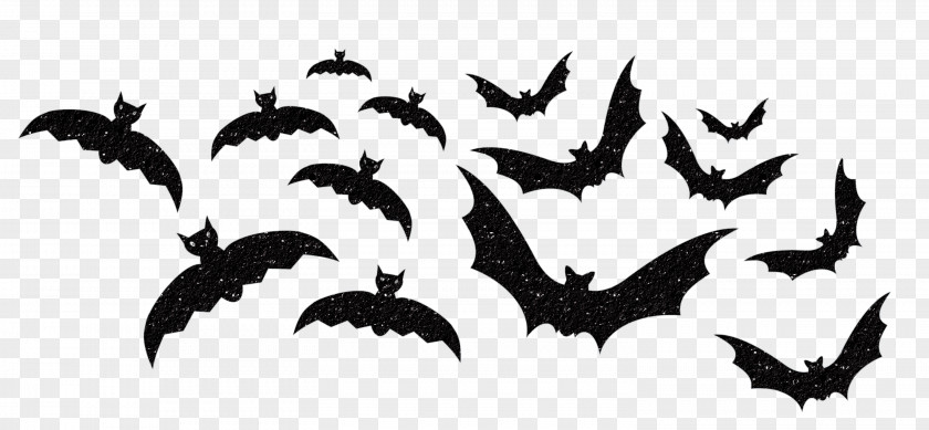Bat Halloween Download Clip Art PNG