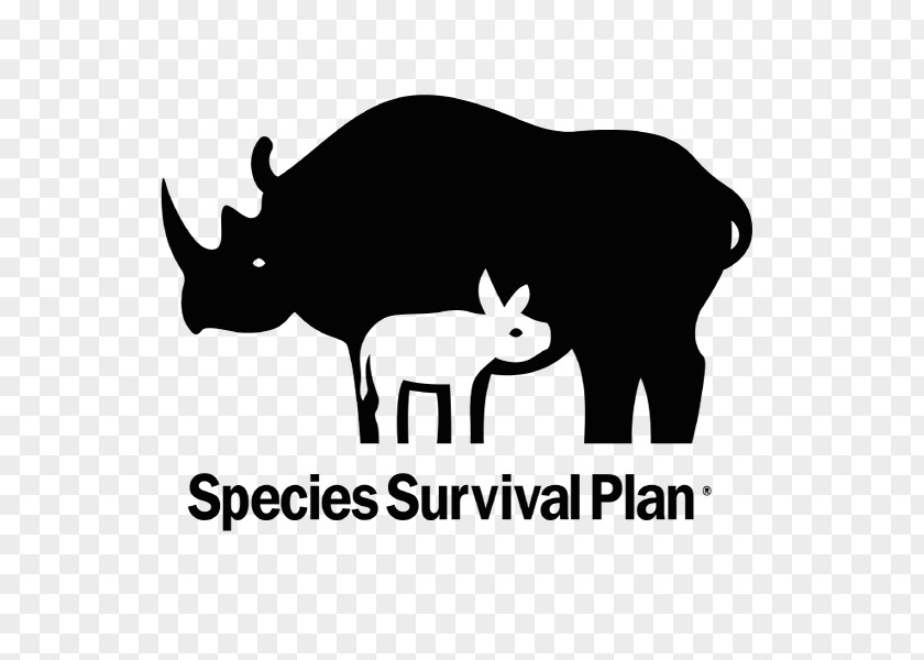 Endangered Species Recovery Plan Asian Elephant Survival Zoo Red Panda PNG