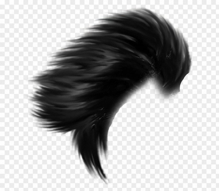 Eyelash Lace Wig Hairstyle Picsart PNG