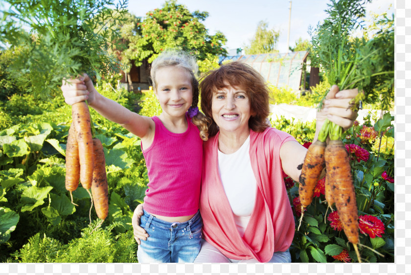 Grandchild Stock Photography Farm Agriculture Royalty-free Garden PNG