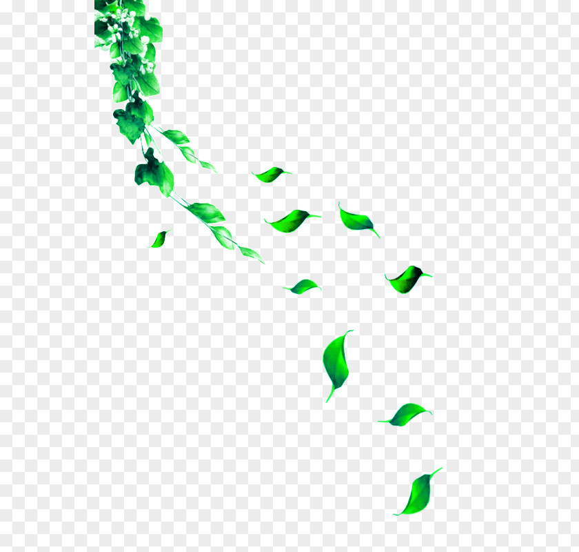 Green And Fresh Leaves Floating Material Adobe Illustrator Clip Art PNG