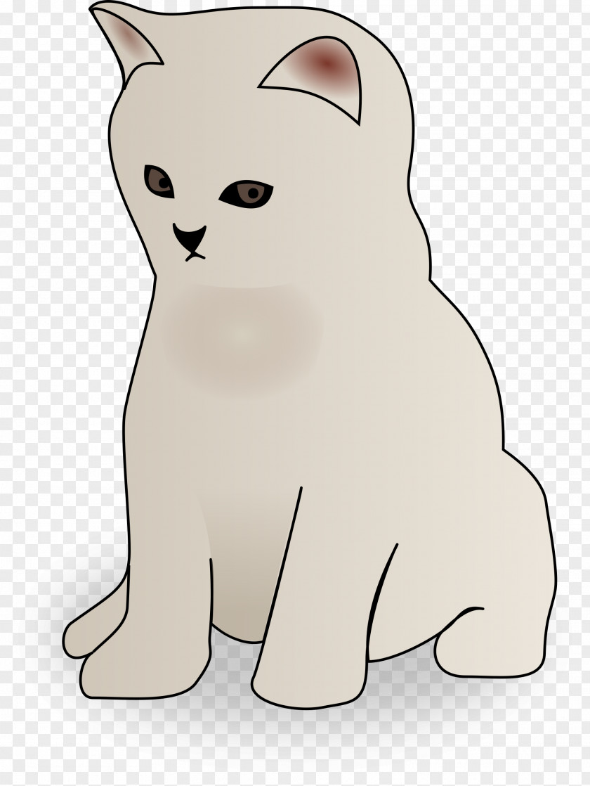 Kitten Wildcat Clip Art PNG
