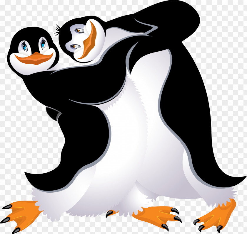 Penguin King Bird Drawing Clip Art PNG