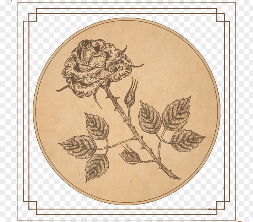 Vintage Rose Design Vector Material Paper Drawing Photography Clip Art PNG