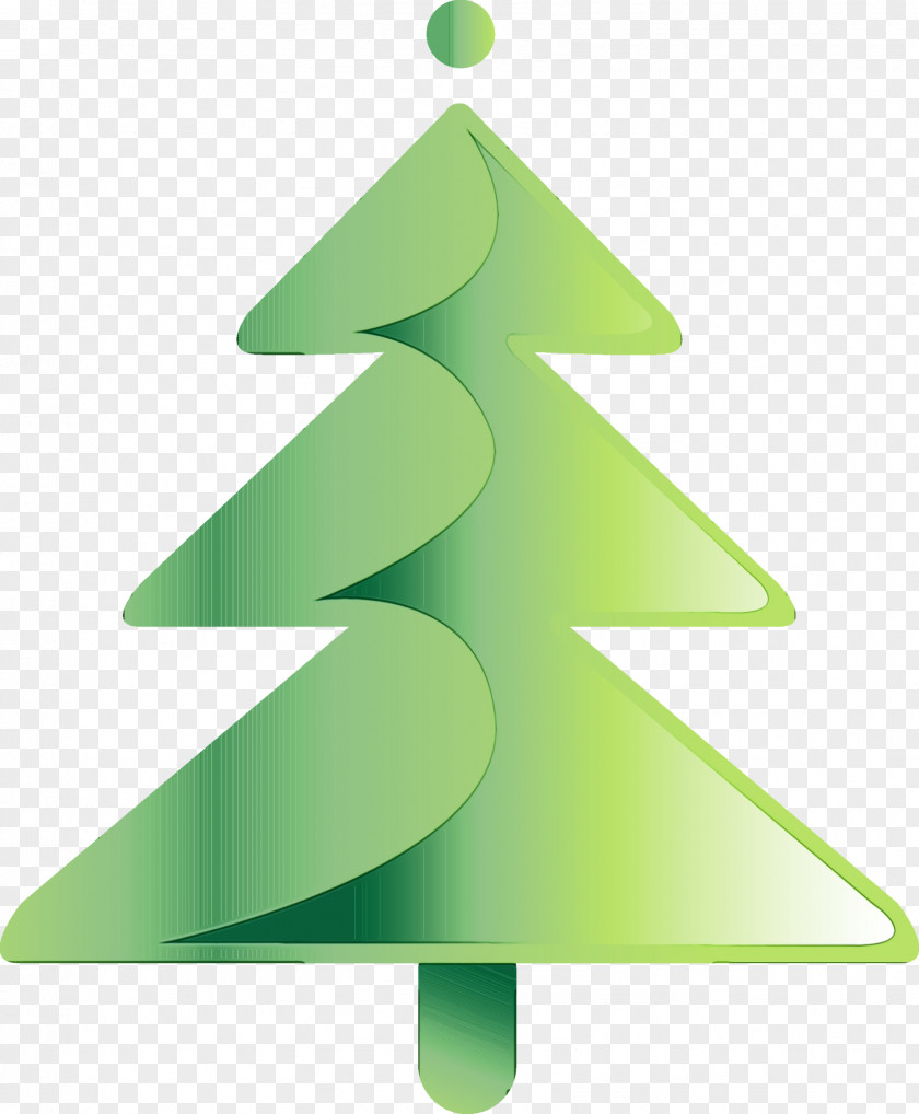 Conifer Pine Family Christmas Tree PNG